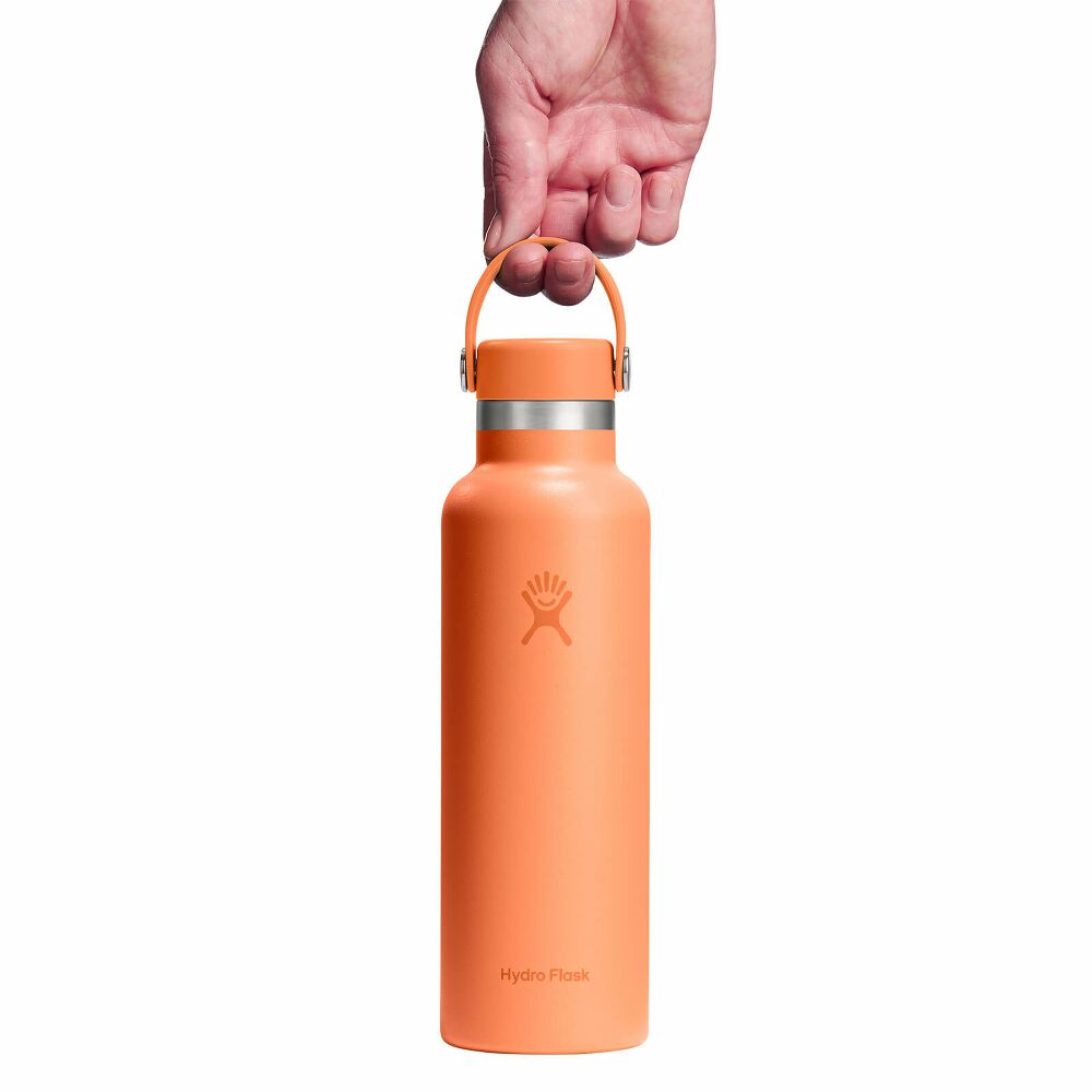 HydroFlask Standard Mouth 21oz | בקבוק מבודד 621 מ"ל