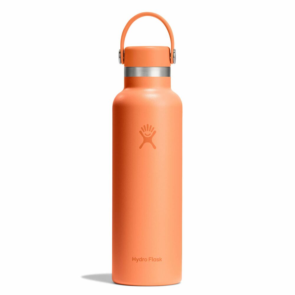 HydroFlask Standard Mouth 21oz | בקבוק מבודד 621 מ"ל